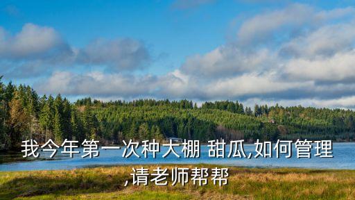 我今年第一次種大棚 甜瓜,如何管理,請老師幫幫