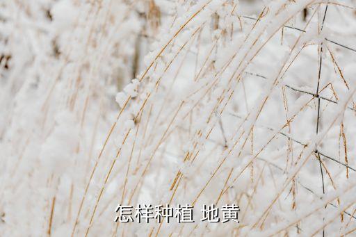 現(xiàn)在地黃地里打什么農(nóng)藥