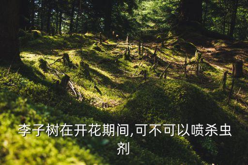  李子樹在開花期間,可不可以噴殺蟲劑