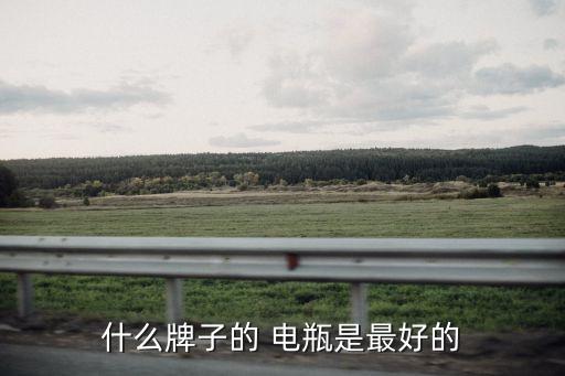 什么牌子的 電瓶是最好的