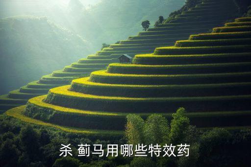 殺 薊馬用哪些特效藥