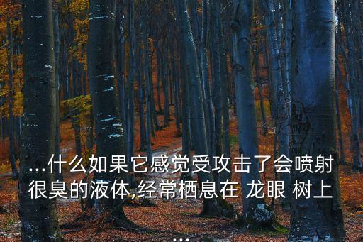 樹上的臭蟲叫什么,龍眼樹上臭蟲噴什么農藥