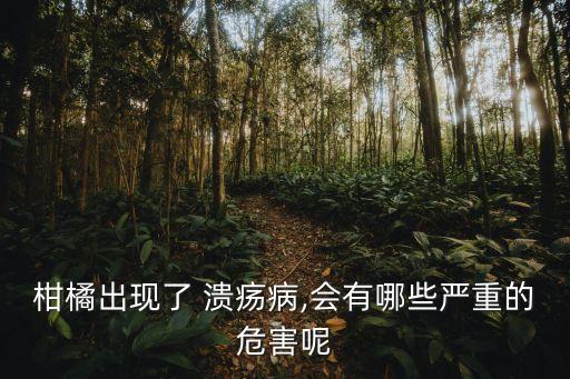柑桔潰瘍用什么農(nóng)藥好,柑桔什么時(shí)侯噴農(nóng)藥好