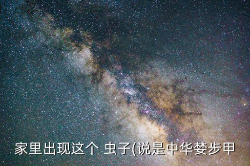 家里出現這個 蟲子(說是中華婪步甲