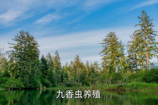 九香蟲養(yǎng)殖