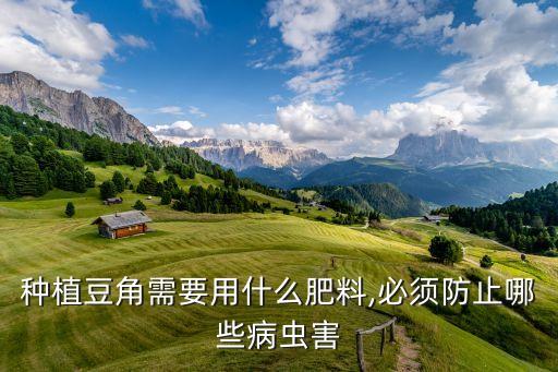 種植豆角需要用什么肥料,必須防止哪些病蟲(chóng)害