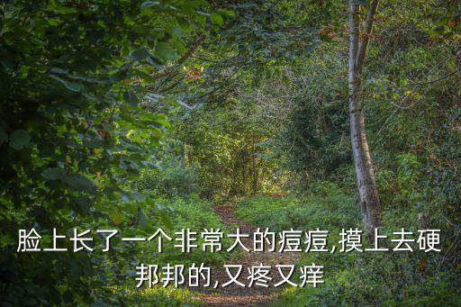 臉上長了一個非常大的痘痘,摸上去硬邦邦的,又疼又癢