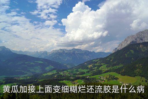農藥百可得治什么病
