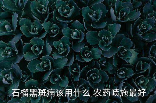  石榴黑斑病該用什么 農(nóng)藥噴施最好