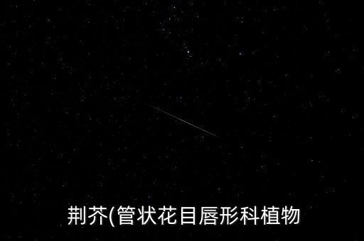 荊芥除草什么農藥好用