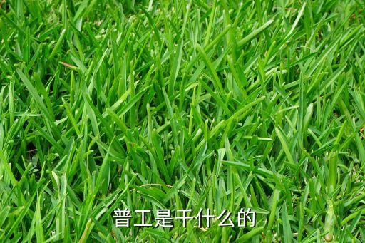 農藥廠普工做什么,池州老農藥廠現在做什么了