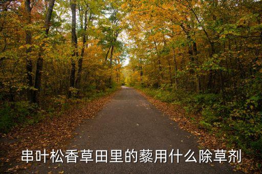 串葉松香草田里的藜用什么除草劑
