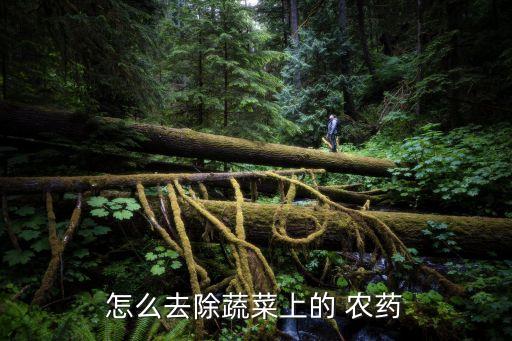 有什么方法可以清洗農(nóng)藥,清洗玻璃用什么方法最好