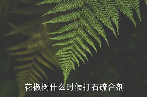  花椒樹什么時候打石硫合劑
