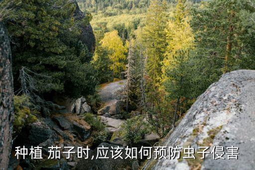茄子樹(shù)噴什么農(nóng)藥最好,茄子不能用什么農(nóng)藥