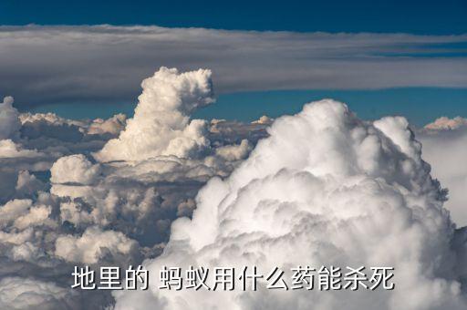 什么農藥治螞蟻最靈敏,螞蟻用什么農藥可以除掉它