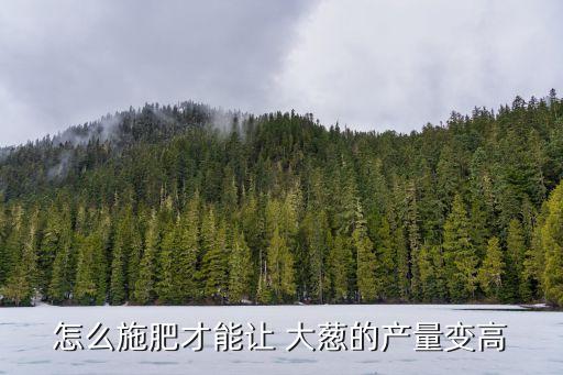 大蔥用什么農藥長的快,大蔥有什么效果