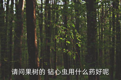 請問果樹的 鉆心蟲用什么藥好呢