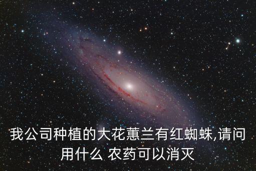 我公司種植的大花蕙蘭有紅蜘蛛,請問用什么 農藥可以消滅