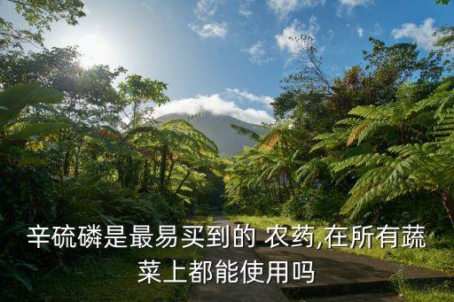 菜地有蝸牛用什么農藥,菜地適合打什么農藥