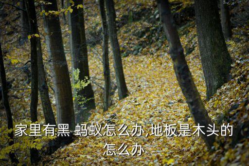 家里有黑 螞蟻怎么辦,地板是木頭的怎么辦