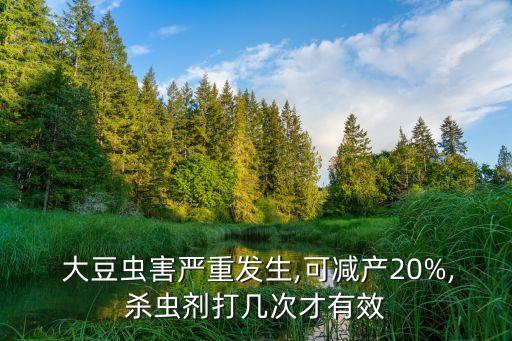  大豆蟲害嚴重發生,可減產20%,殺蟲劑打幾次才有效
