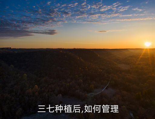  三七種植后,如何管理