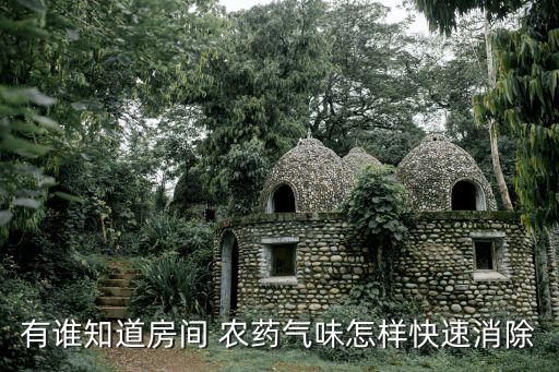 有誰知道房間 農藥氣味怎樣快速消除