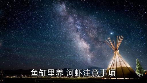 魚缸里養(yǎng) 河蝦注意事項