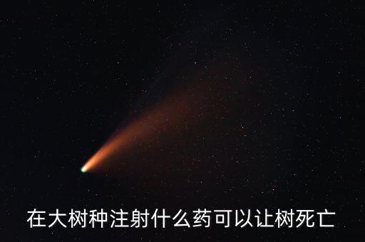 在大樹種注射什么藥可以讓樹死亡