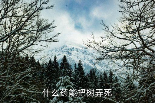 什么藥能把樹弄死