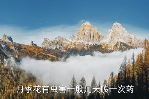 月季花用什么農藥最好,種月季花用什么肥料最好