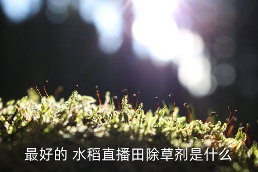 最好的 水稻直播田除草劑是什么