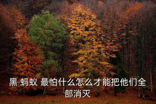 螞蟻最怕什么農藥,螞蟻怕什么味道而遠離