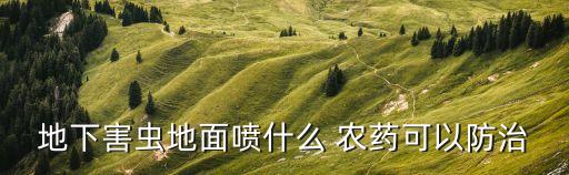 什么農(nóng)藥殺死螻蛄效果好,螻蛄用什么農(nóng)藥