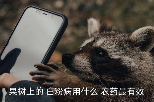 果樹上的 白粉病用什么 農藥最有效