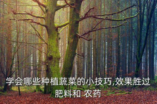 學會哪些種植蔬菜的小技巧,效果勝過肥料和 農藥