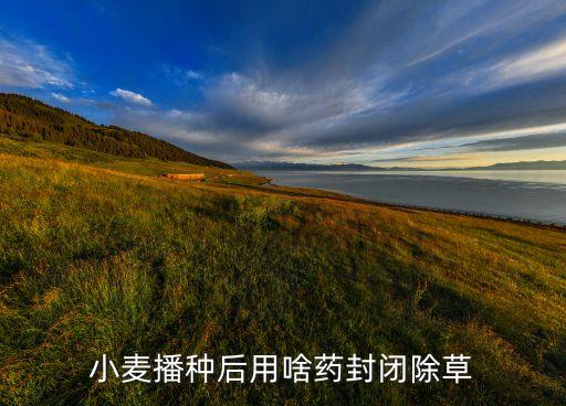 小麥播種后用啥藥封閉除草