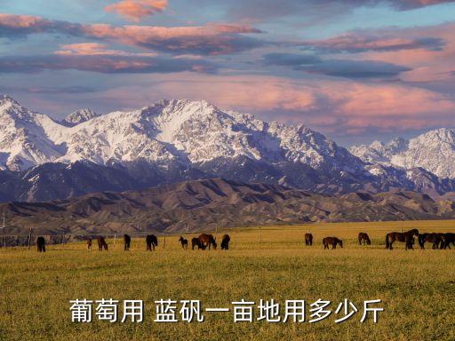 藍(lán)礬跟什么農(nóng)藥復(fù)配,硫酸銅可以和什么農(nóng)藥復(fù)配