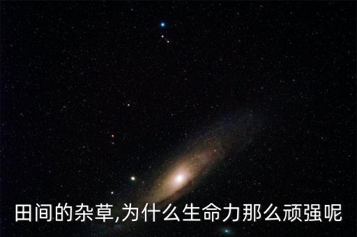 田間的雜草,為什么生命力那么頑強呢