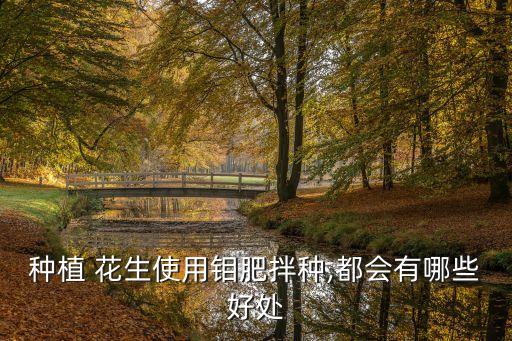 種植 花生使用鉬肥拌種,都會(huì)有哪些好處
