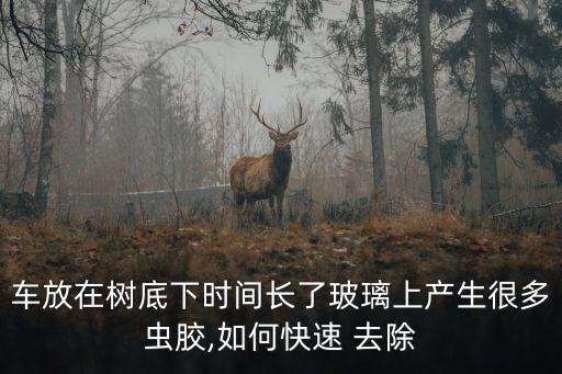 車放在樹底下時間長了玻璃上產(chǎn)生很多蟲膠,如何快速 去除