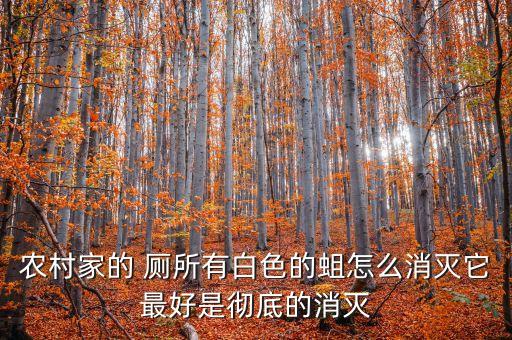 農(nóng)村家的 廁所有白色的蛆怎么消滅它最好是徹底的消滅