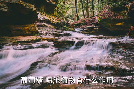 噴施農藥為什么加糖,農藥加糖噴施有什么作用