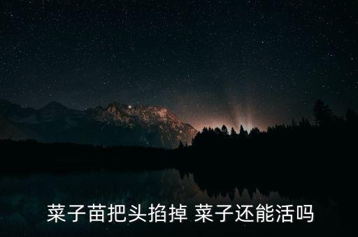  菜子苗把頭掐掉 菜子還能活嗎