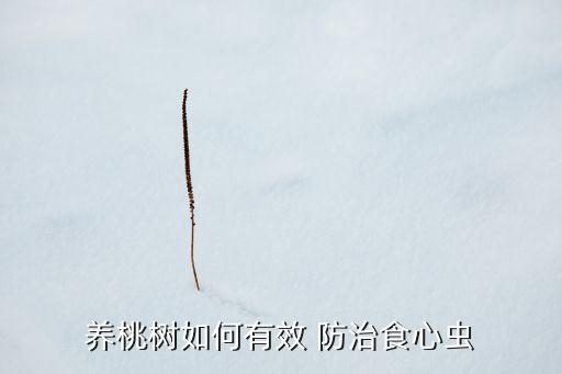 果樹蛀心蟲用什么農(nóng)藥防治
