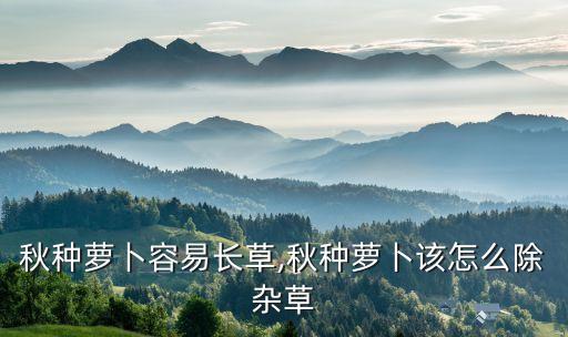 秋種蘿卜容易長草,秋種蘿卜該怎么除雜草