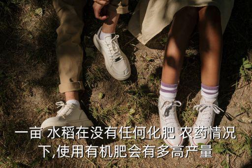 水稻用什么不用噴農藥,水稻農藥什么時間打效果最好