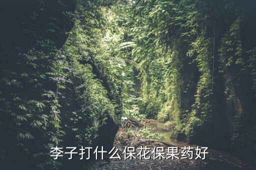 農(nóng)藥網(wǎng)李子爛果用什么農(nóng)藥