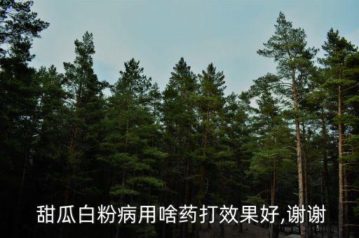  甜瓜白粉病用啥藥打效果好,謝謝